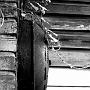 IMG_5501-bw