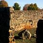 IMG_7564